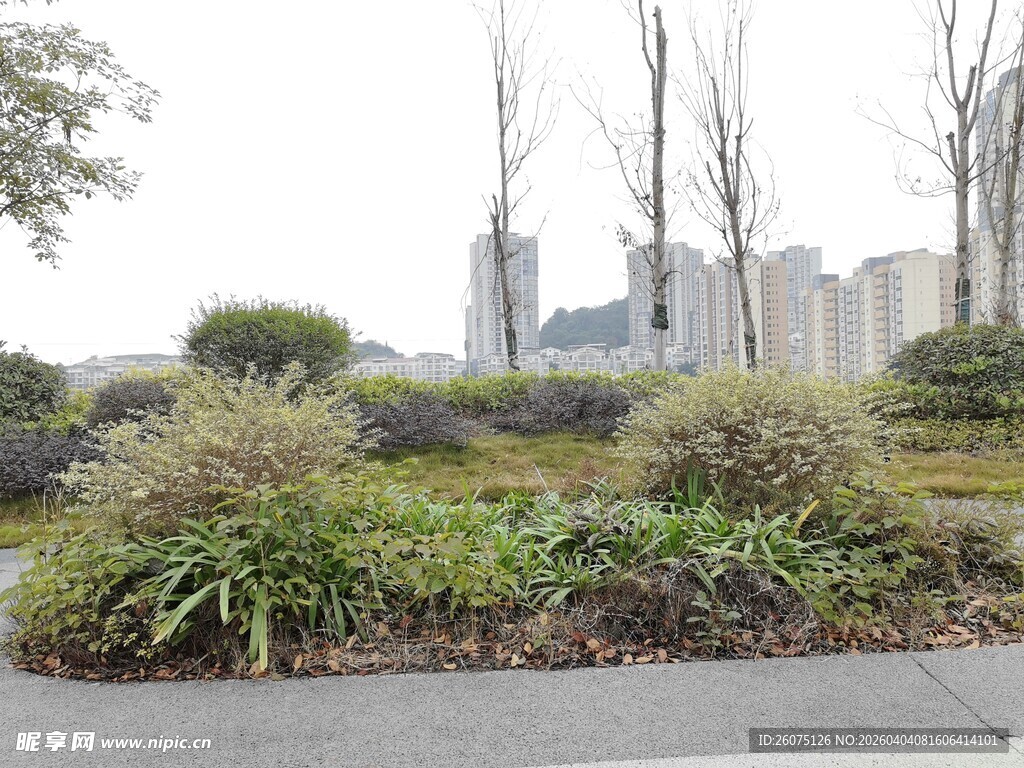 城市中的绿植景观