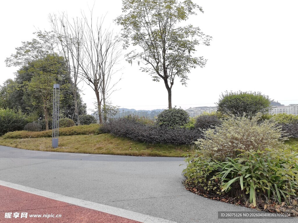 城市道路旁的绿植景观