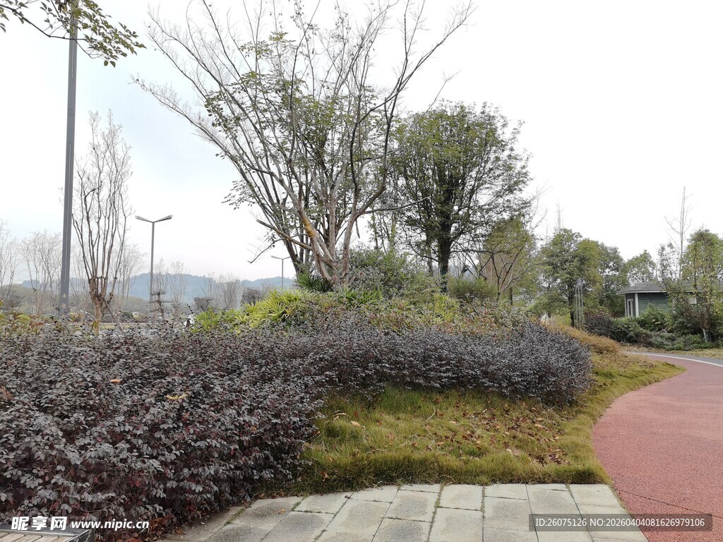 城市绿植景观步道一角