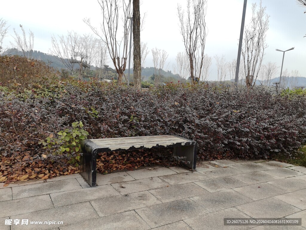 户外空长椅静谧景致