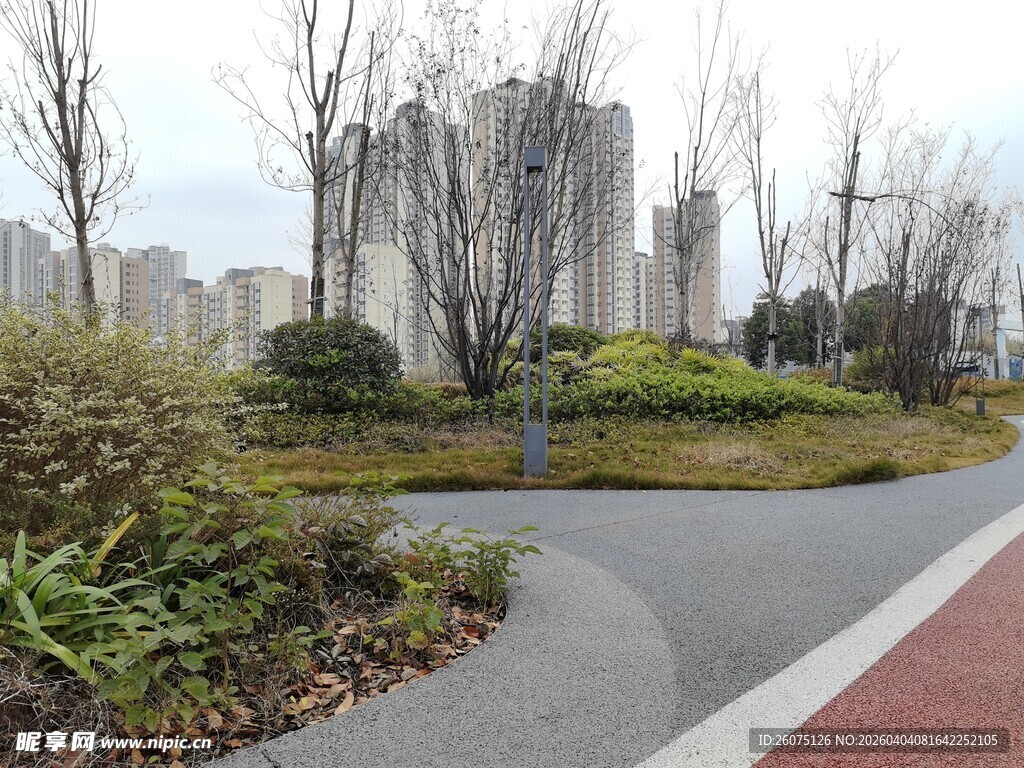 城市中的宁静绿化小径