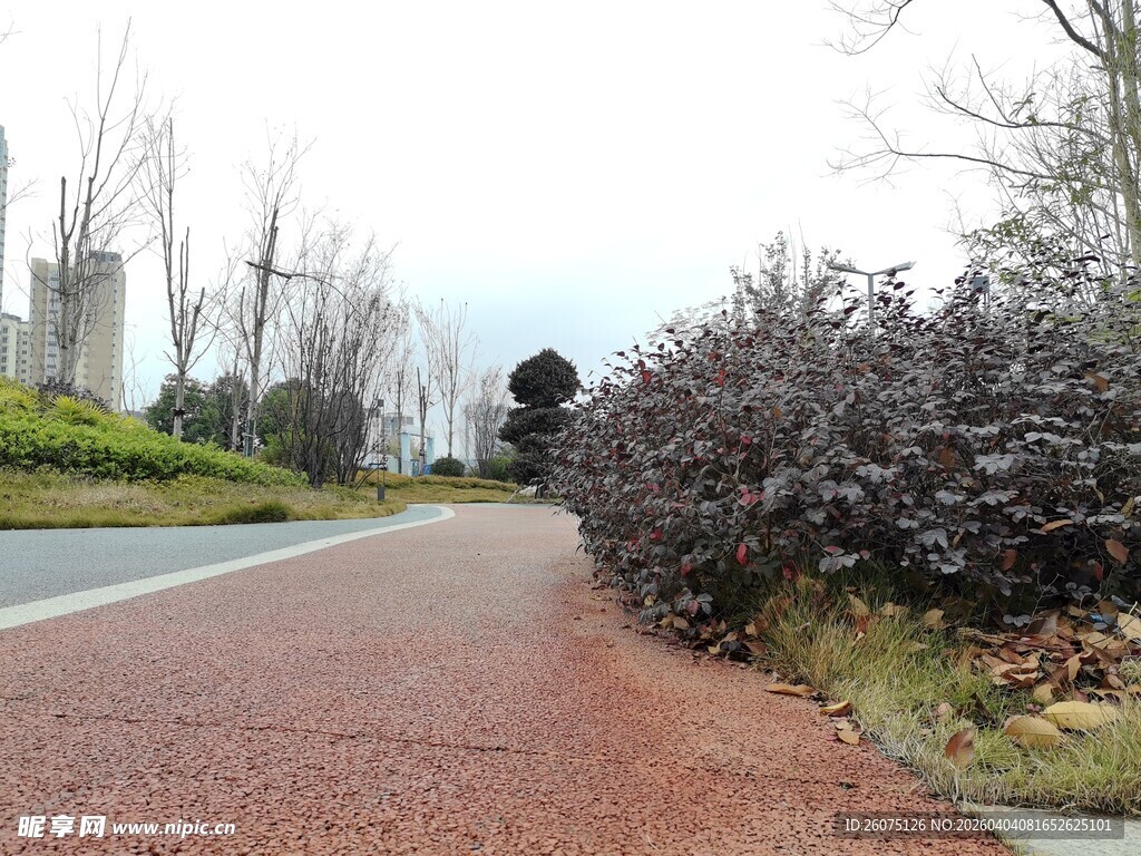 城市中色彩鲜艳的步道