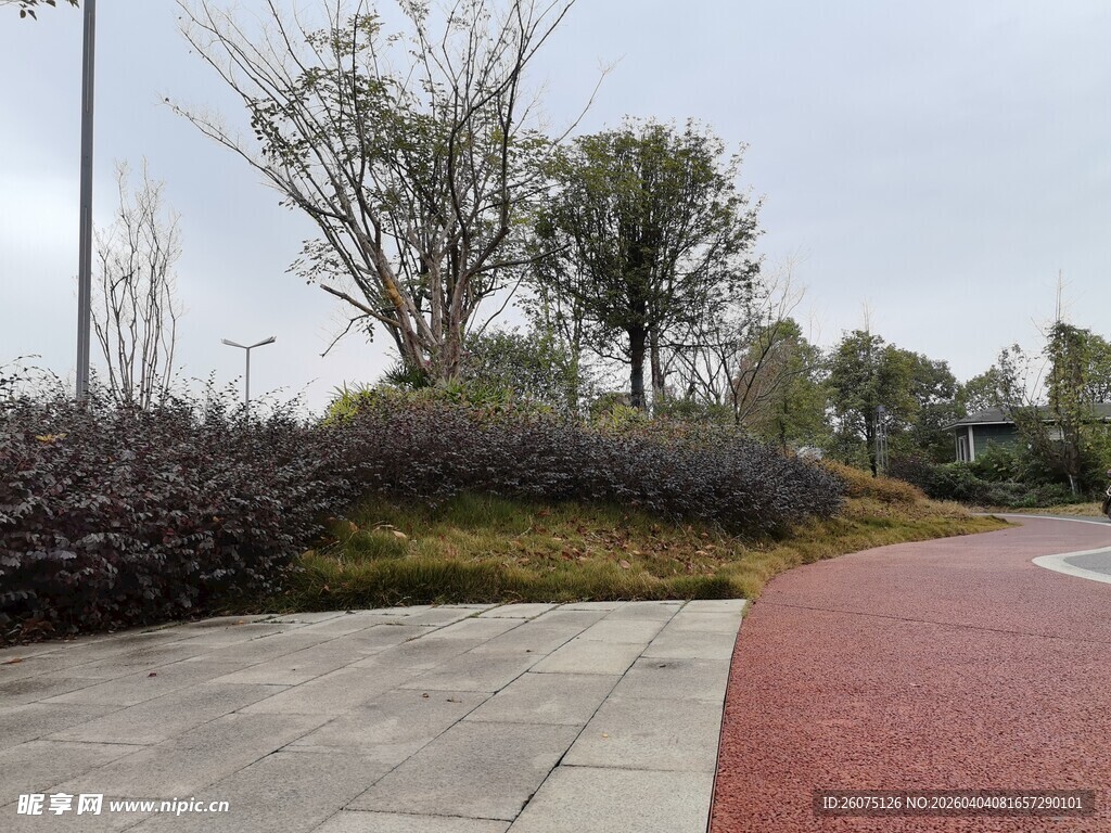 城市景观中的多彩步道