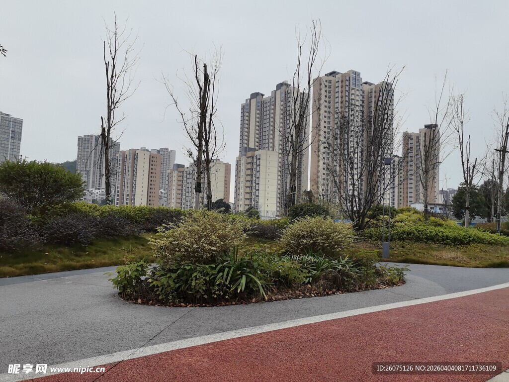 城市道路旁的绿植与高楼