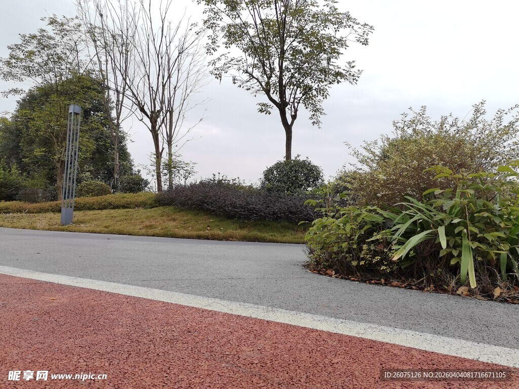 城市公园中的道路景观