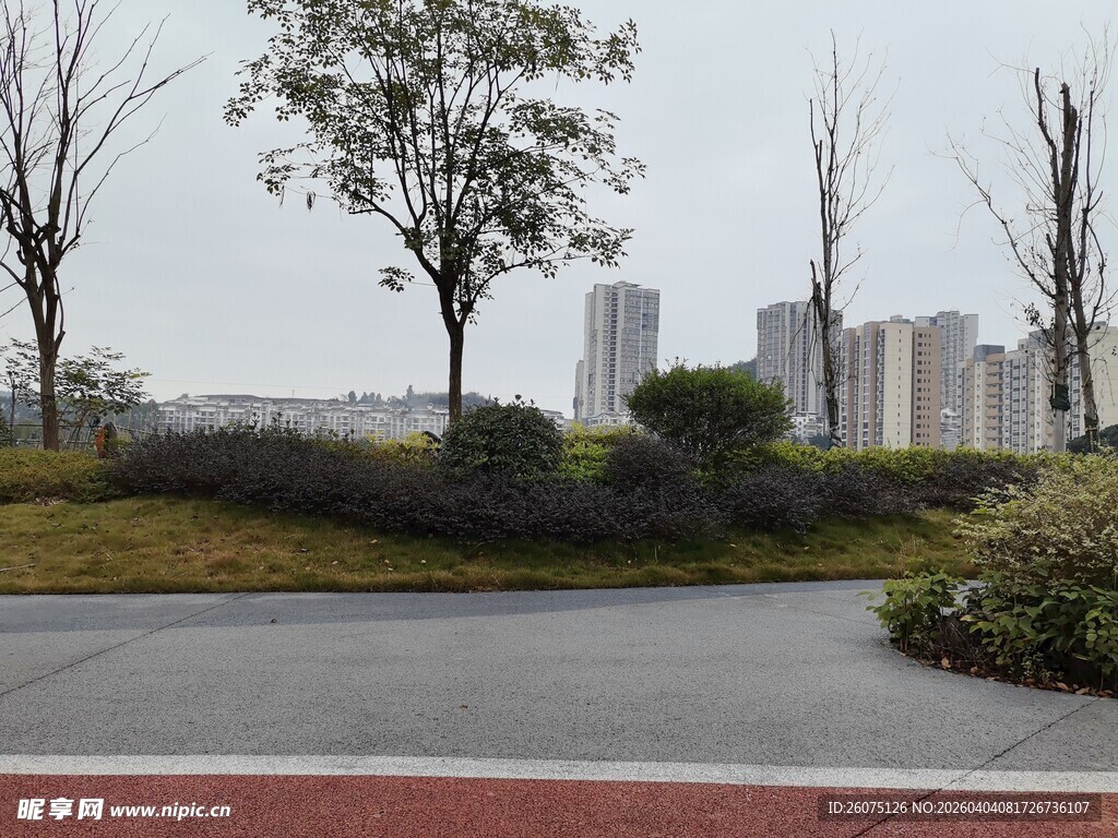 城市道路旁的绿植与建筑