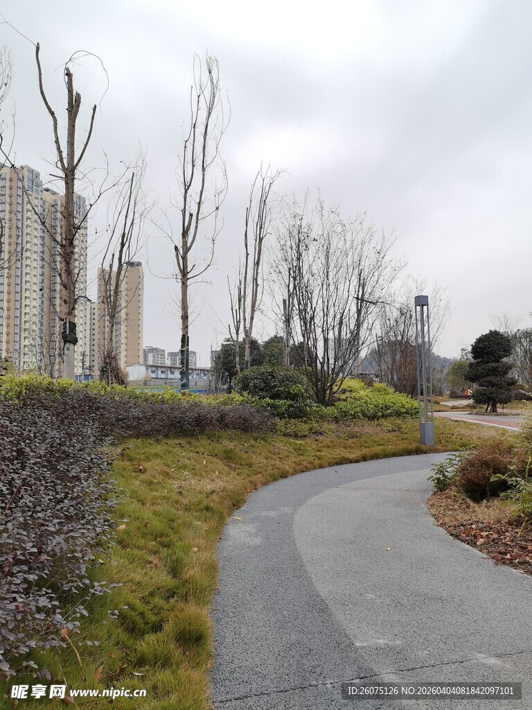 城市中的宁静蜿蜒小路