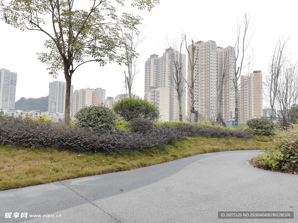 城市中的静谧绿荫小道
