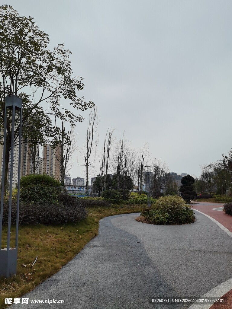 城市中的宁静绿化小径