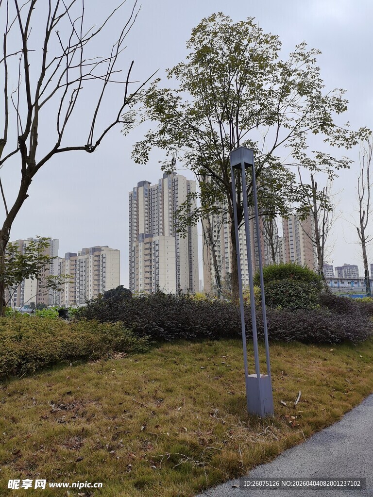 城市公园中的静谧小路