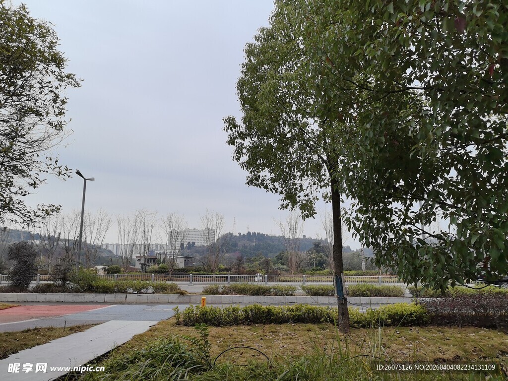 城市公园的宁静景致