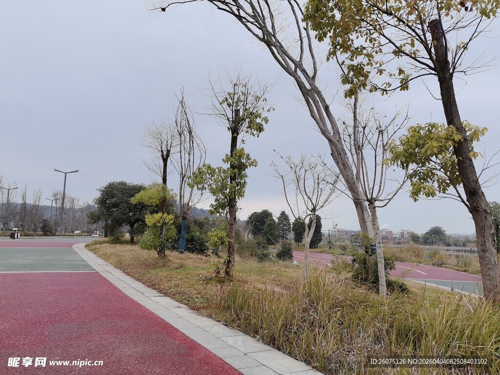 城市公园中的彩色步道