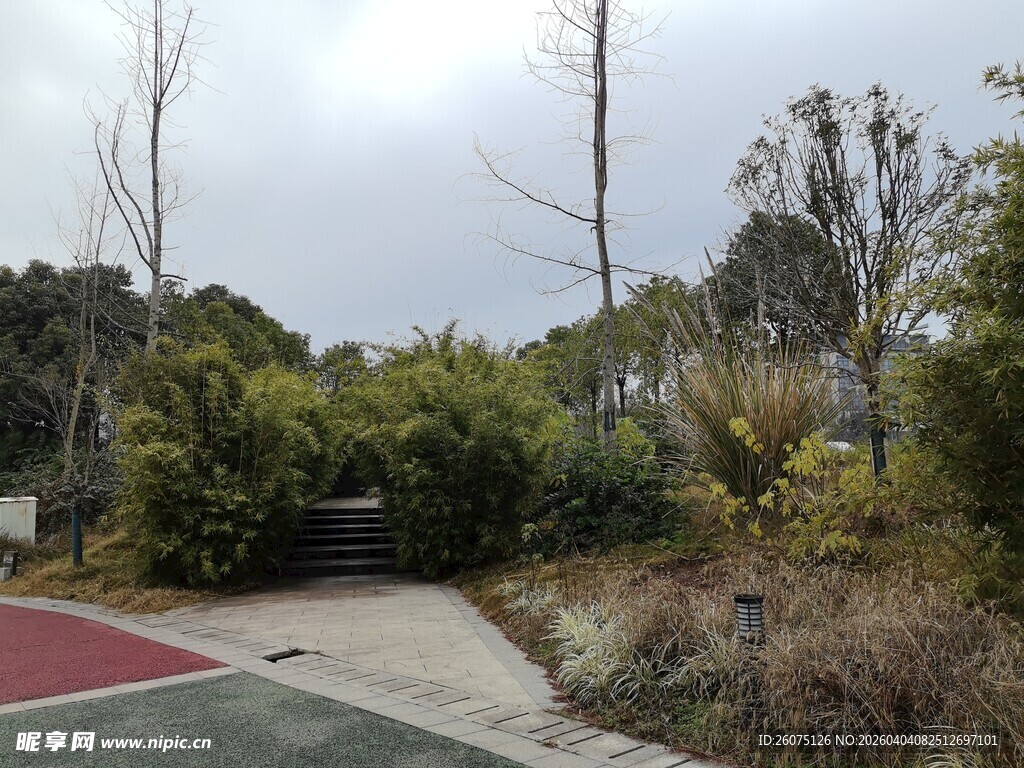 户外绿植环绕的休闲场地