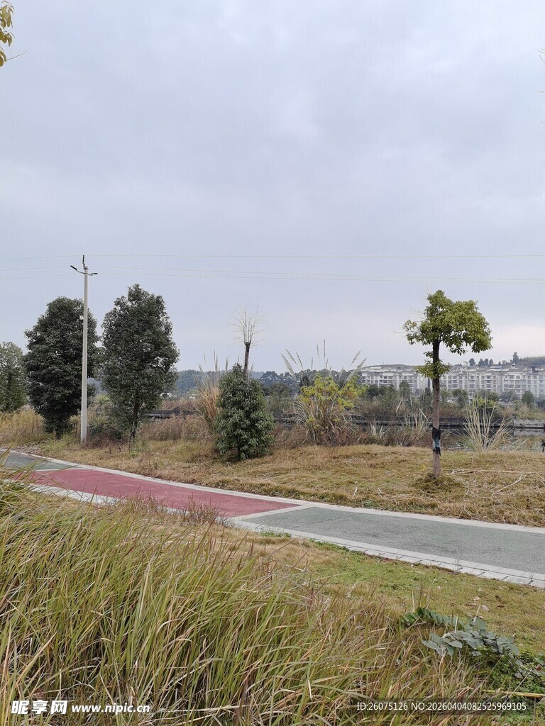 城郊草地与道路景观