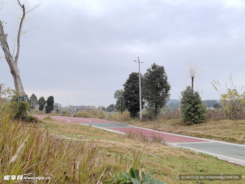 郊外开阔风景