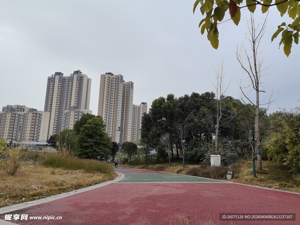 城市旁的塑胶跑道与绿树