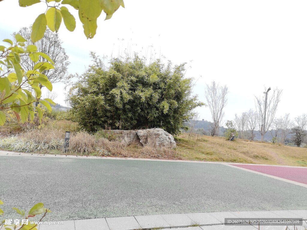 路边绿植与岩石景观