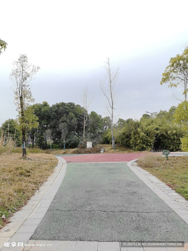 公园中的宽阔步道景观