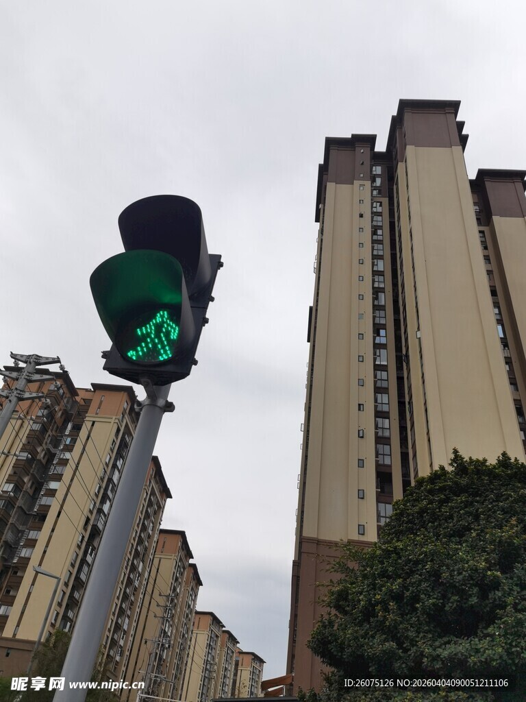 城市中亮起绿灯的交通信号灯