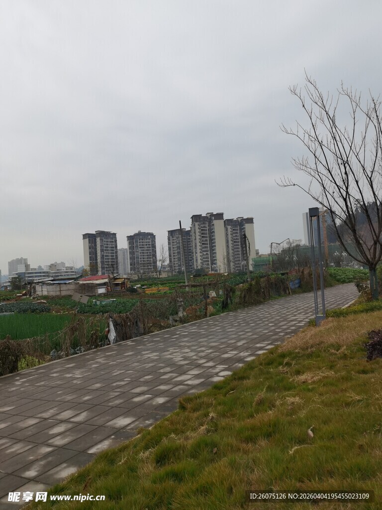 城市郊外的宁静小路