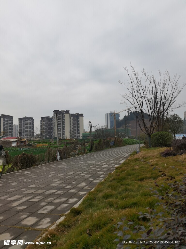 城郊小路旁的现代建筑群