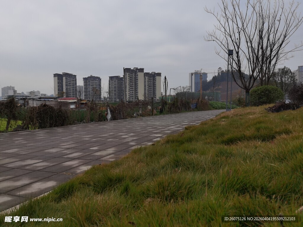 城市路旁草地与高楼景观