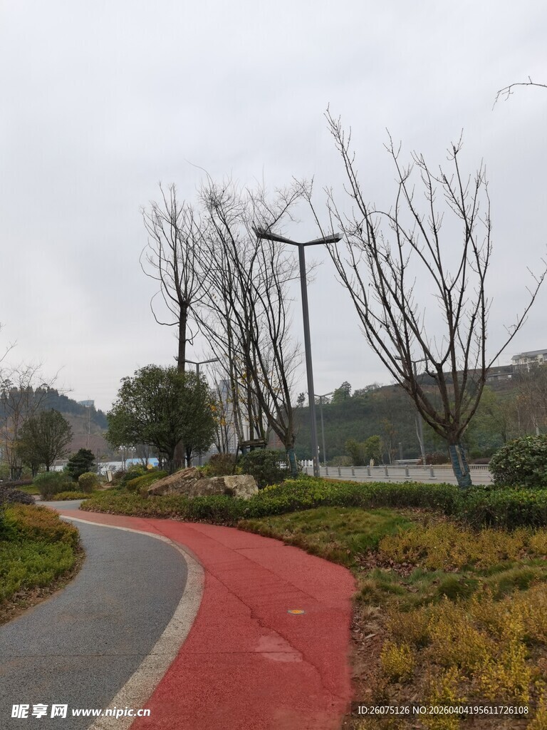 公园红色步道旁的自然风光