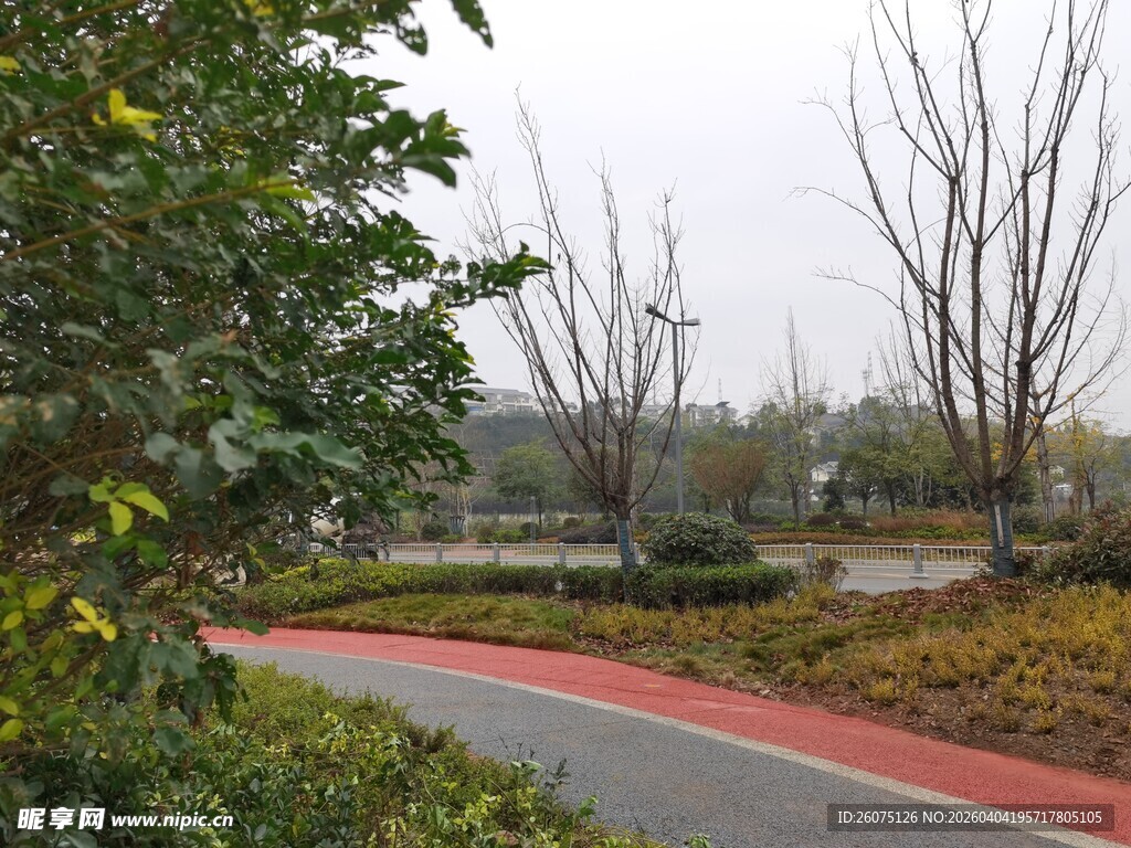 城郊彩色步道旁的绿植景观