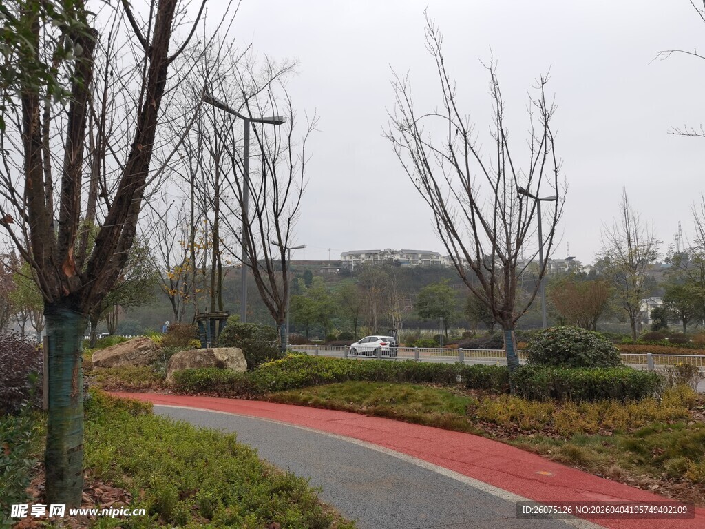 秋日公园中的红色步道