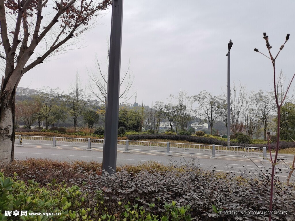 户外空旷道路旁的景致