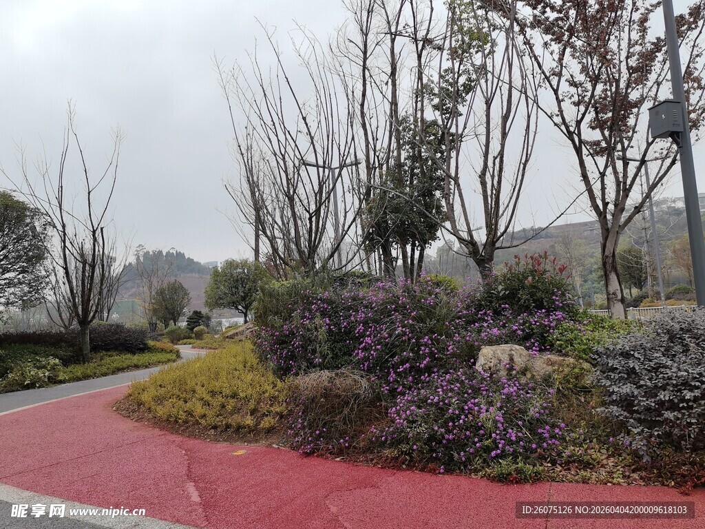 公园彩色步道旁的绿植景观