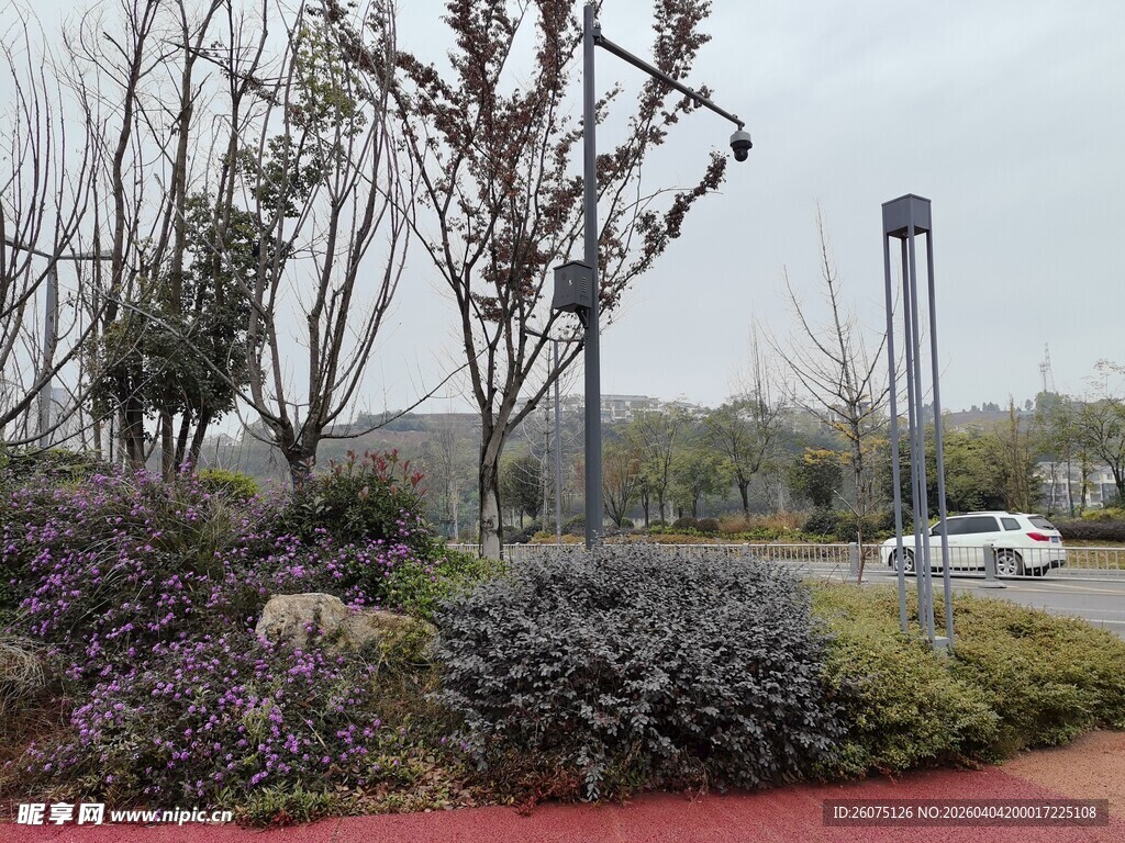 城市公园景观一角