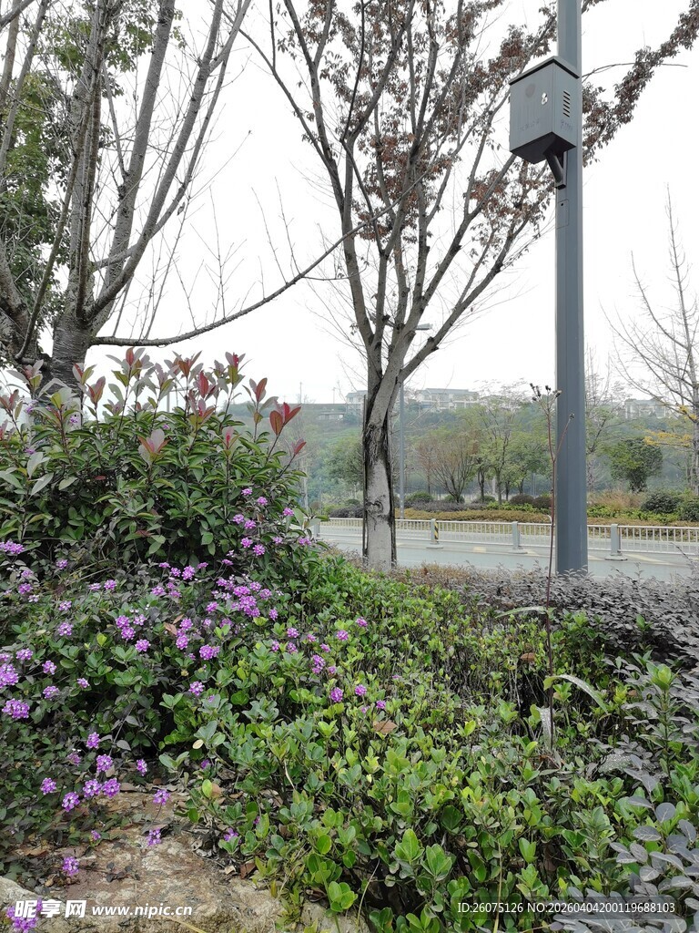 户外绿植旁的金属指示牌