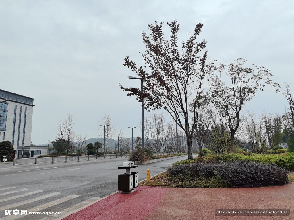 城市道路旁的绿化景观