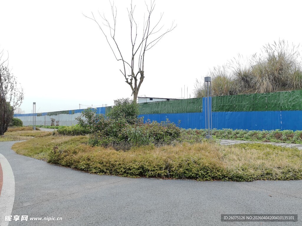 道路旁的绿植与蓝色围挡