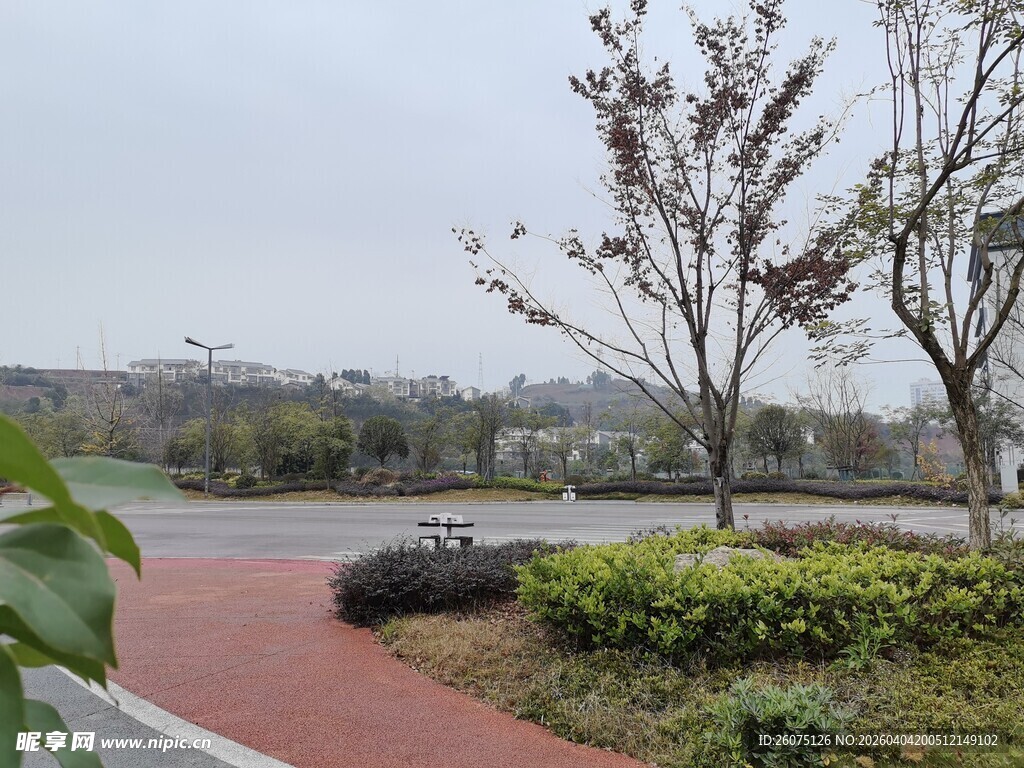 城市公园中的绿化景观