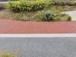 路边绿植与彩色步道景观