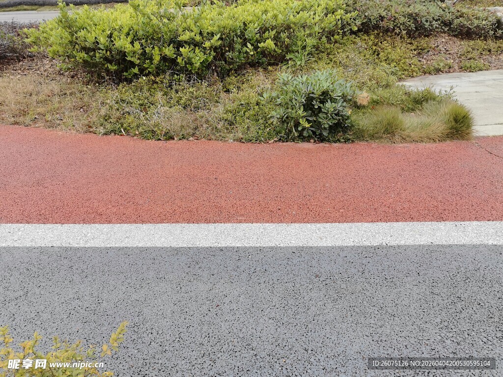 路边绿植与彩色步道景观