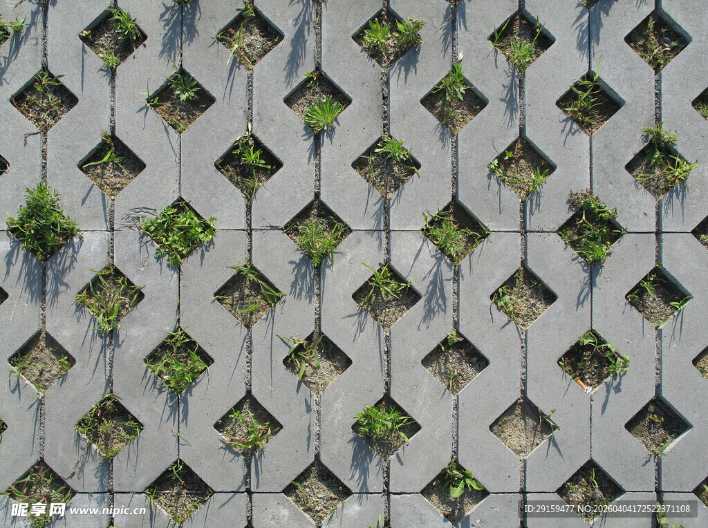方格地砖间生长的绿色植物