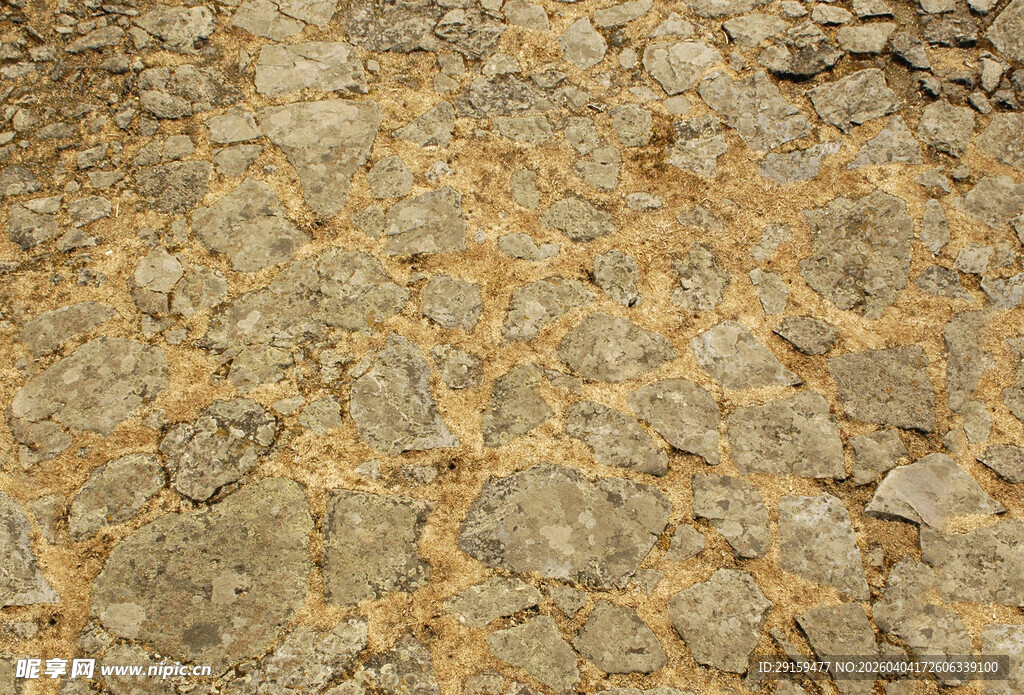 干裂土地纹理