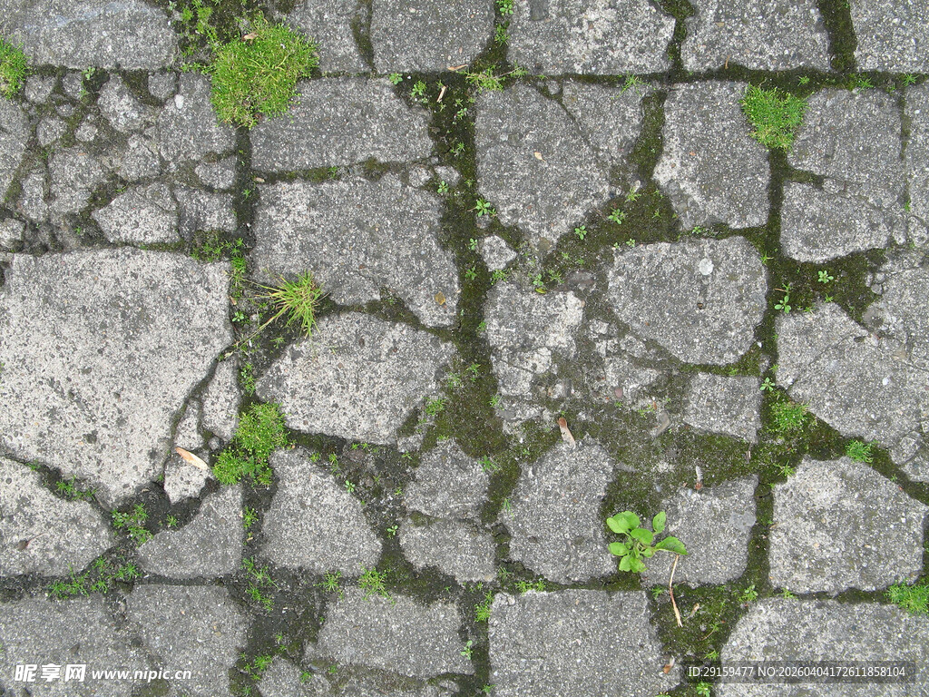 石板路缝隙中长出的青草