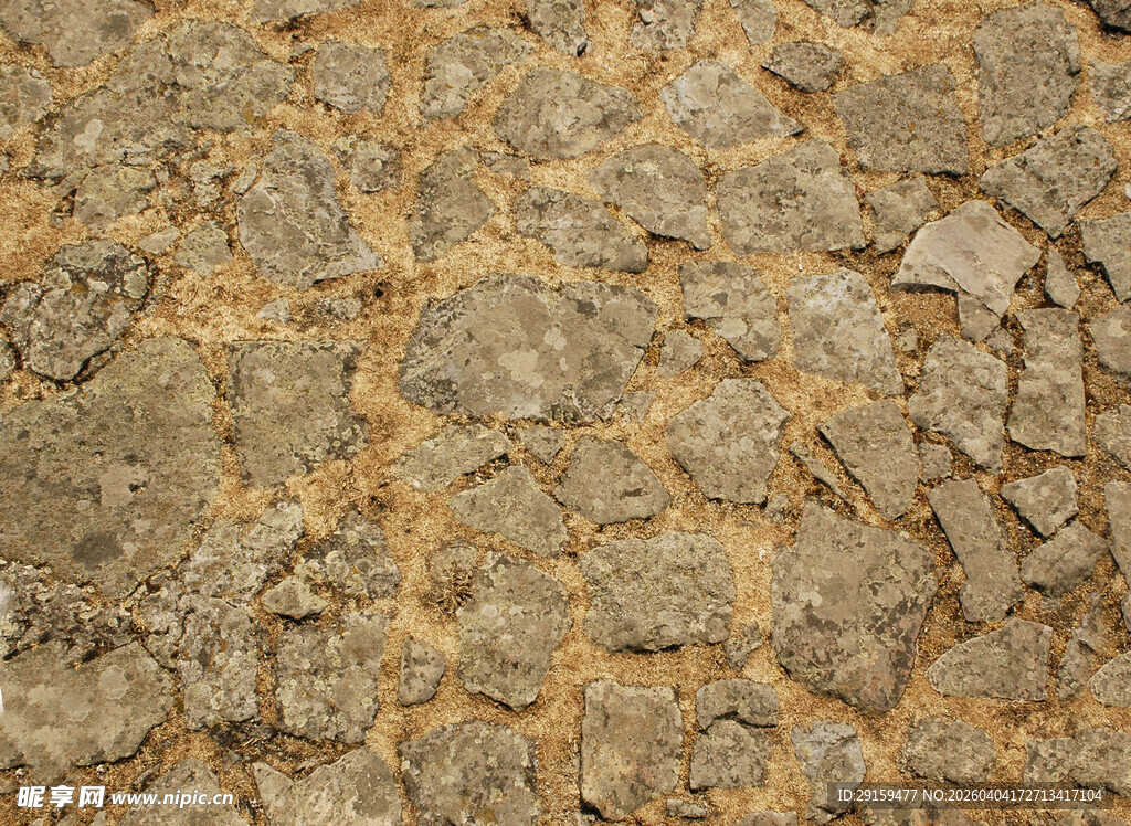 干裂的土地纹理