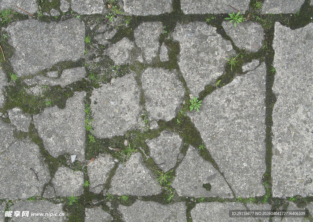 长满青苔的石砌路面