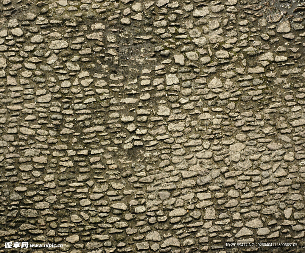 粗糙质感的仿鳄鱼皮纹理