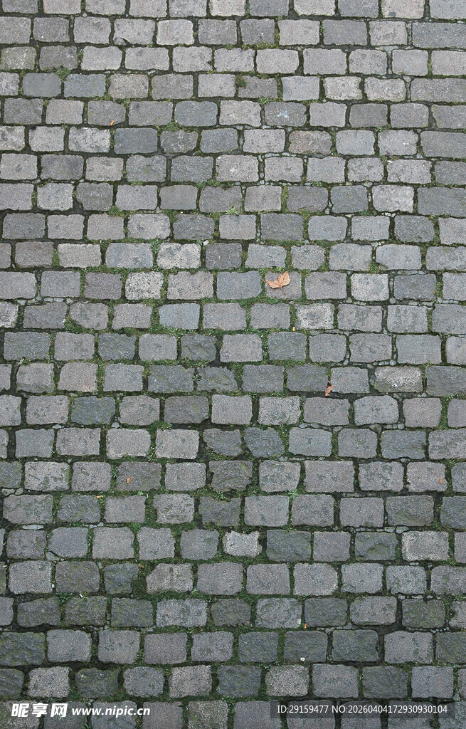 灰色石砖铺就的路面