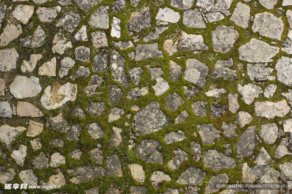 石缝间的翠绿苔藓景观
