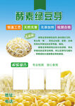 酵素绿豆芽介绍页