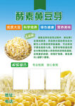 酵素黄豆芽介绍页