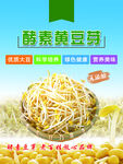 酵素黄豆芽营养新选择