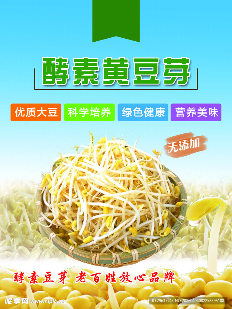 酵素黄豆芽营养新选择